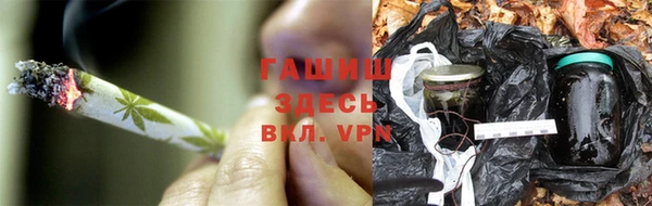 индика Краснослободск
