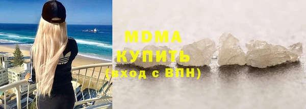 индика Краснослободск