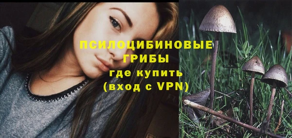 сатива Краснотурьинск