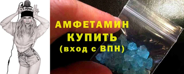 индика Краснослободск