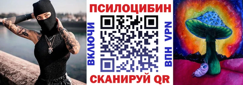 купить  сайты  Макарьев  Псилоцибиновые грибы Psilocybine cubensis 