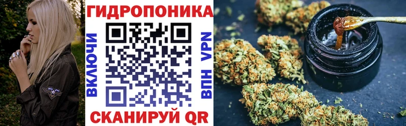 mega ТОР  сколько стоит  Макарьев  Конопля OG Kush 